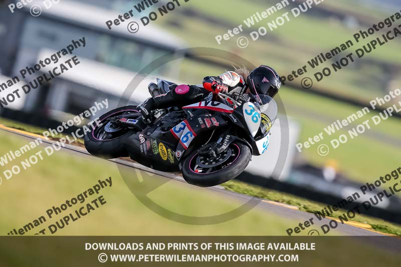 PJ Motorsport 2019;anglesey no limits trackday;anglesey photographs;anglesey trackday photographs;enduro digital images;event digital images;eventdigitalimages;no limits trackdays;peter wileman photography;racing digital images;trac mon;trackday digital images;trackday photos;ty croes